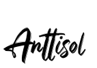 Anttisol