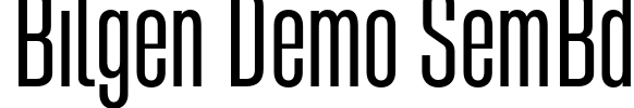 Bilgen Demo SemBd Font Image