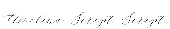 Amelina Script Script Font Image