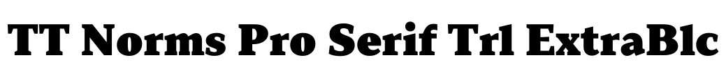 TT Norms Pro Serif Trl ExtraBlc Font Image