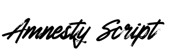 Amnesty Script