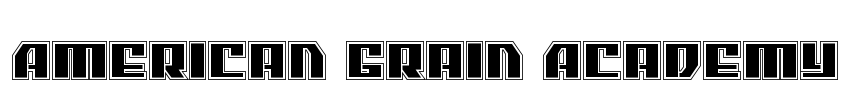 American Grain Academy Font Image