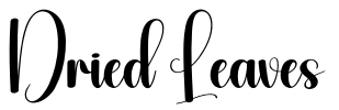Dried Leaves Font Image