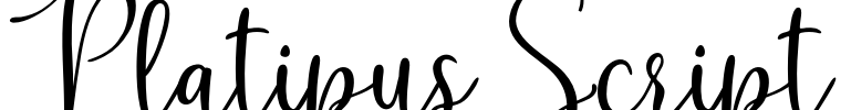 Platipus Script Font Image
