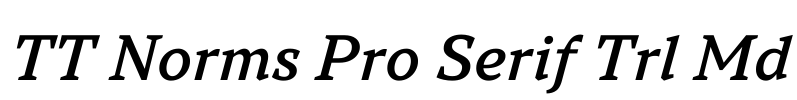 TT Norms Pro Serif Trl Md Font Image