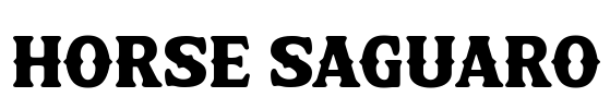 Horse Saguaro Font Image