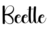Beetle Font Image