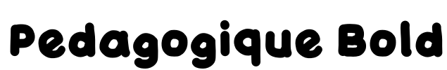 Pedagogique Bold Font Image