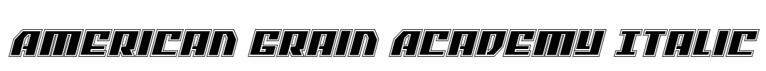American Grain Academy Italic