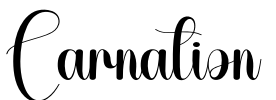 Carnation Font Image