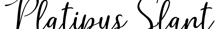 Platipus Slant Font Image