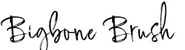 Bigbone Brush Font Image