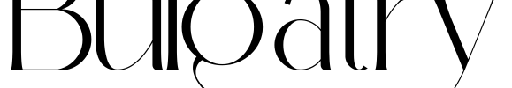 Bulgatry Font Image