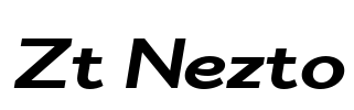Zt Nezto
