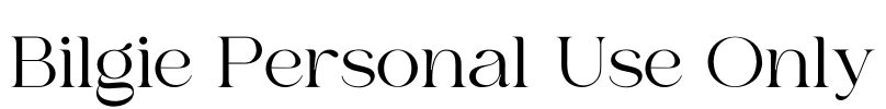 Bilgie Personal Use Only Font Image
