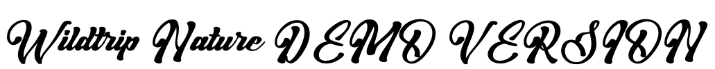 Wildtrip Nature DEMO VERSION Font Image