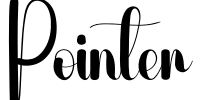 Pointer Font Image