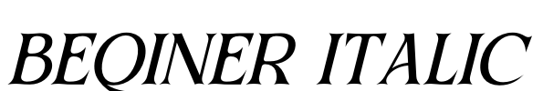 BEQINER ITALIC Font Image