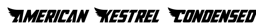 American Kestrel Condensed Font Image