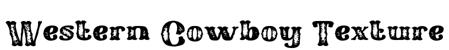 Western Cowboy Texture Font Image