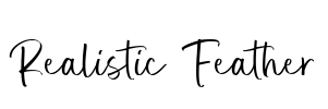 Realistic Feather