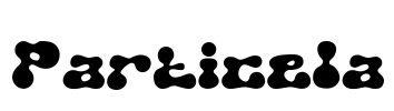 Particela Font Image
