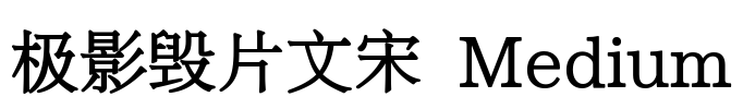 极影毁片文宋 Medium Font Image