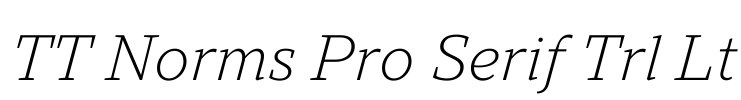 TT Norms Pro Serif Trl Lt Font Image