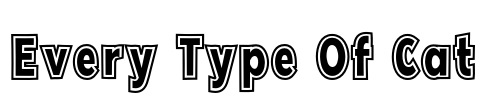 Every Type Of Cat Font Image