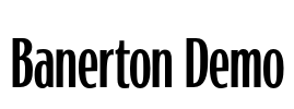 Banerton Demo