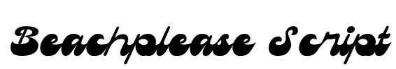 Beachplease Script Font Image