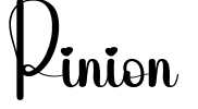 Pinion Font Image