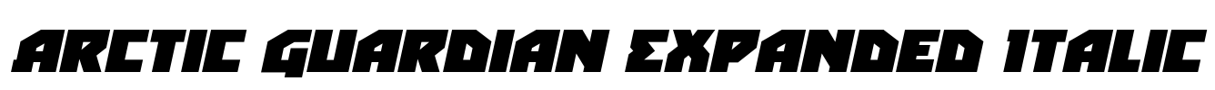 Arctic Guardian Expanded Italic Font Image