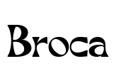 Broca Font Image