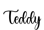 Teddy Font Image