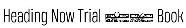 Heading Now Trial 43 Book Font Image