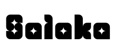 Salaka  Font Image
