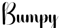 Bumpy Font Image