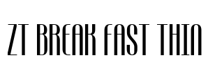 ZT Break Fast Thin Font Image