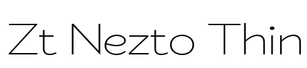 Zt Nezto Thin