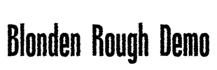 Blonden Rough Demo Font Image
