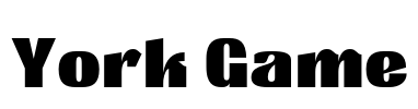 York Game Font Image