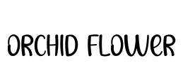 Orchid Flower Font Image
