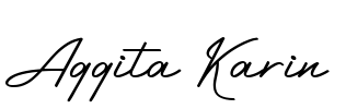 Aggita Karin Font Image