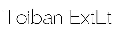 Toiban ExtLt Font Image