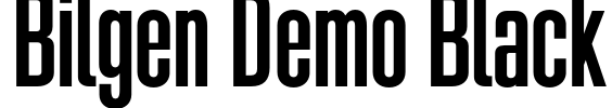 Bilgen Demo Black Font Image