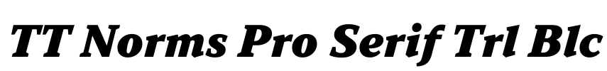TT Norms Pro Serif Trl Blc Font Image