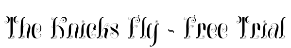 The Knicks Fly - Free Trial Font Image