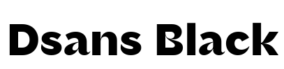 Dsans Black Font Image