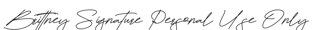 Brittney Signature Personal Use Only Font Image